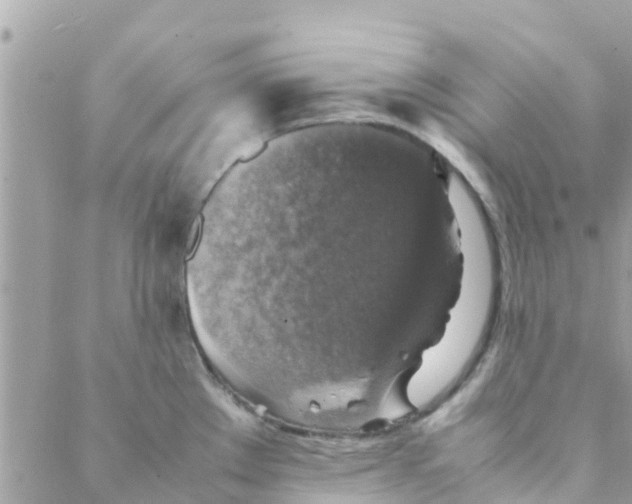 X0000088231289200706121846