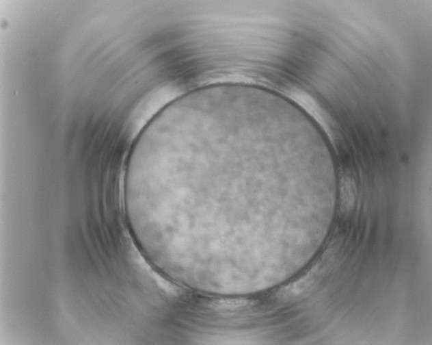 X0000088231290200706121846