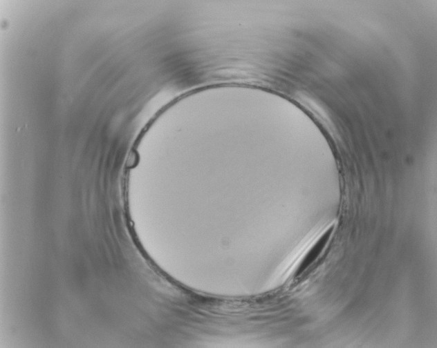 X0000088231291200706121846