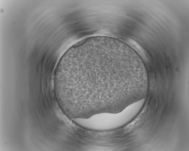 X0000088231292200706121846