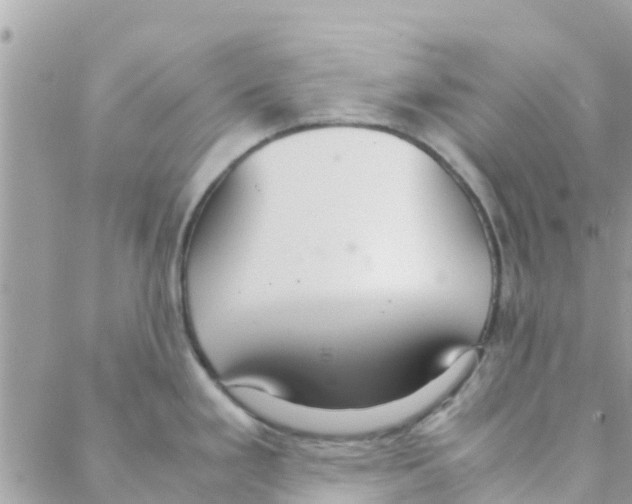 X0000088231293200706121846