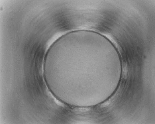 X0000088231294200706121846