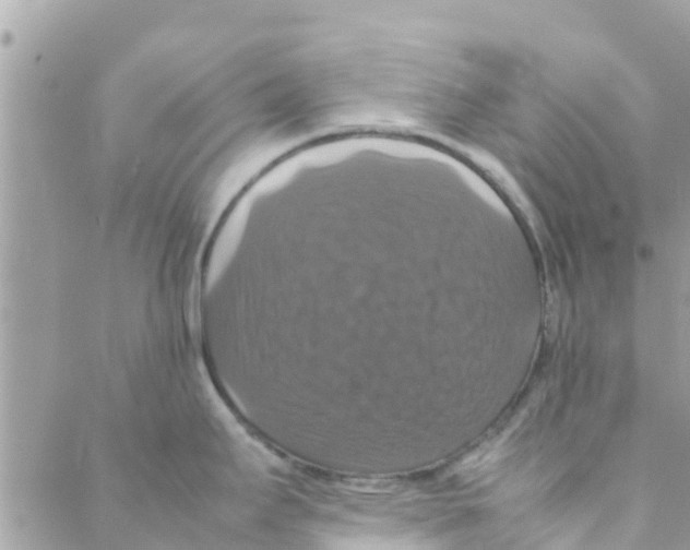 X0000088231295200706121846