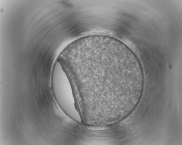 X0000088231296200706121846