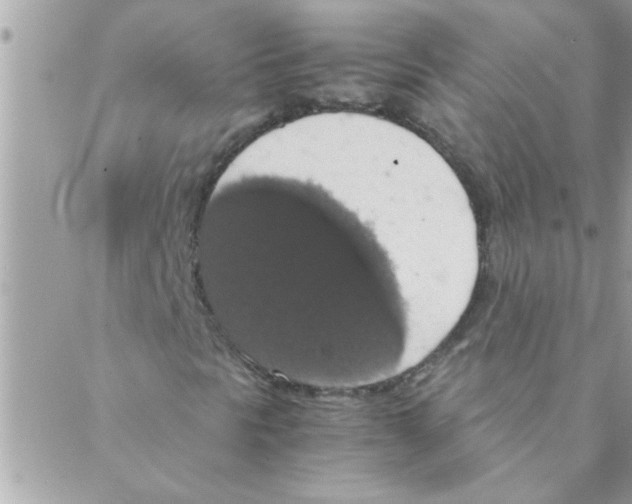 X0000088231297200706121846