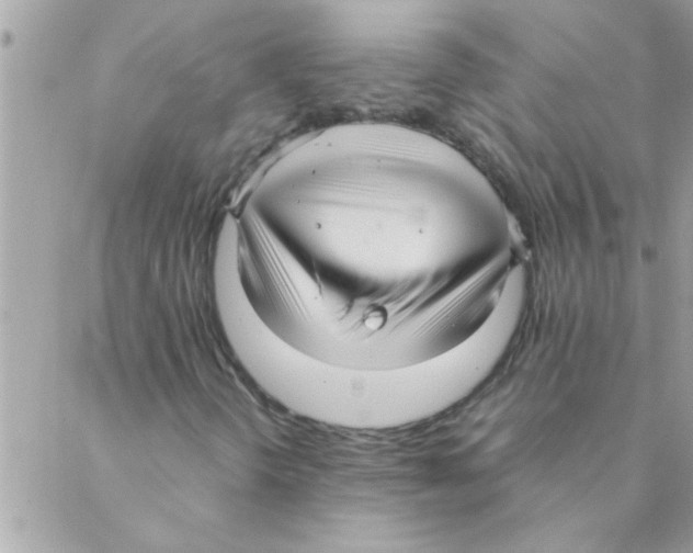 X0000088231298200706121846