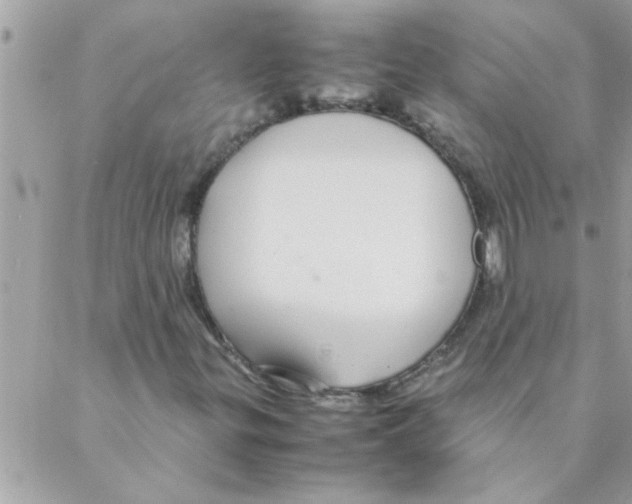 X0000088231299200706121846