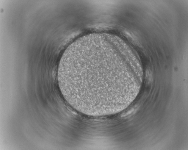 X0000088231300200706121846