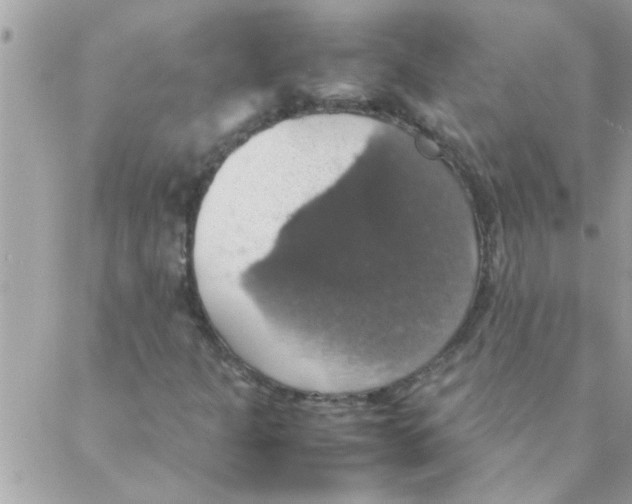 X0000088231301200706121846