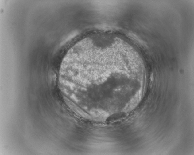 X0000088231302200706121846