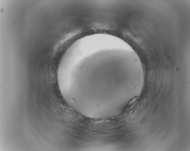 X0000088231303200706121846