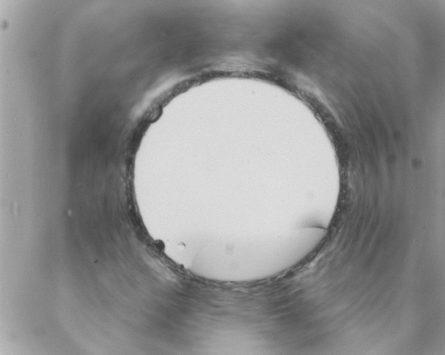 X0000088231304200706121846