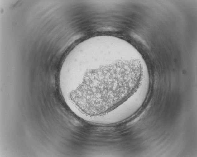 X0000088231305200706121846