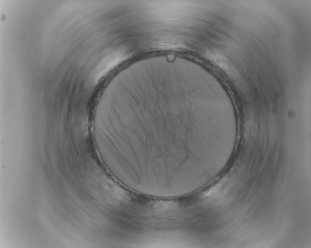 X0000088231306200706121846