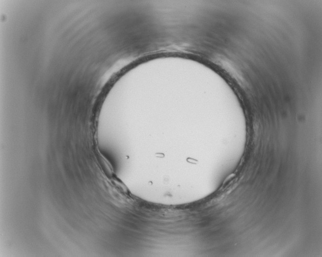 X0000088231308200706121846