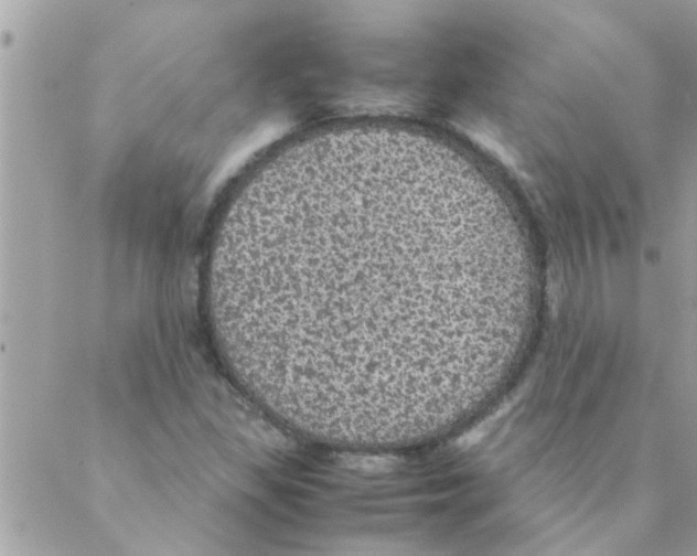 X0000088231309200706121846