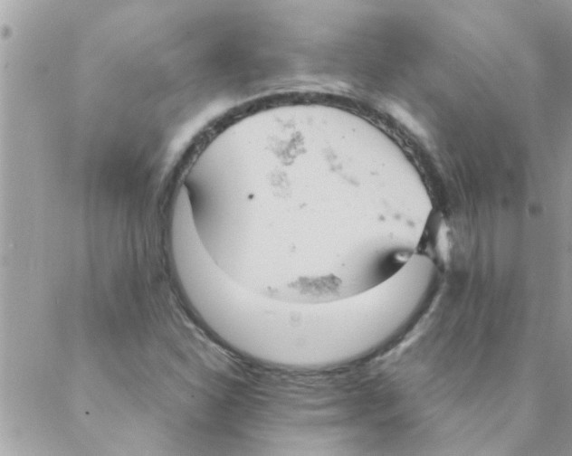 X0000088231310200706121846