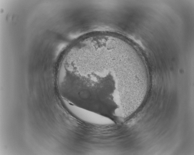 X0000088231311200706121846