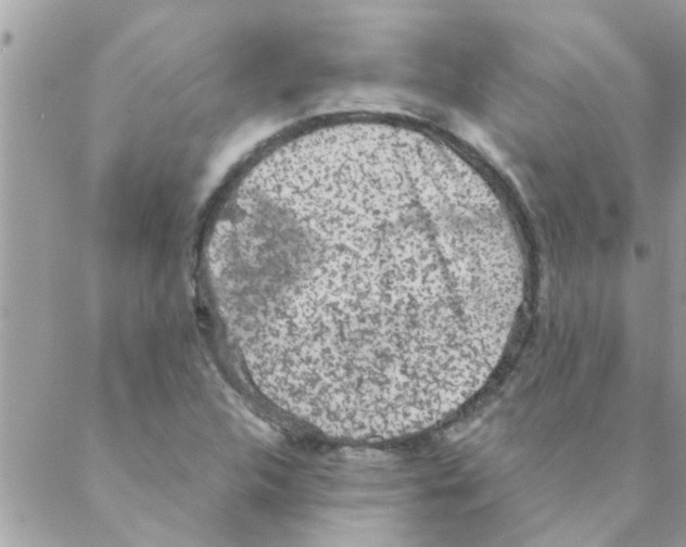 X0000088231312200706121846