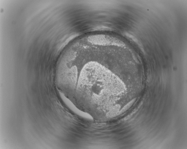 X0000088231313200706121846