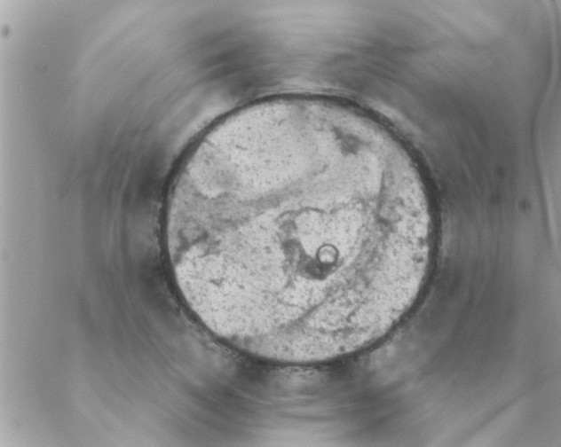 X0000088231314200706121846