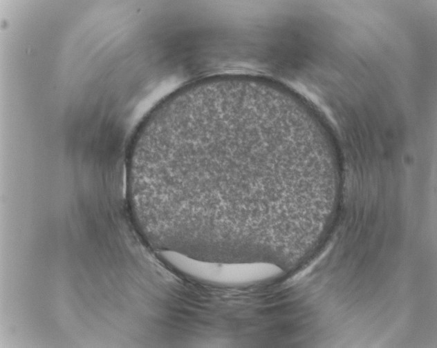 X0000088231317200706121846