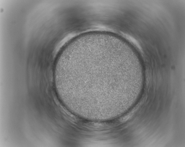 X0000088231318200706121846