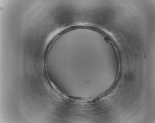 X0000088231319200706121846