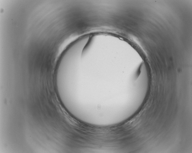 X0000088231320200706121846