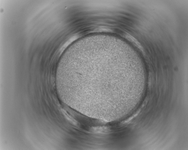 X0000088231321200706121846