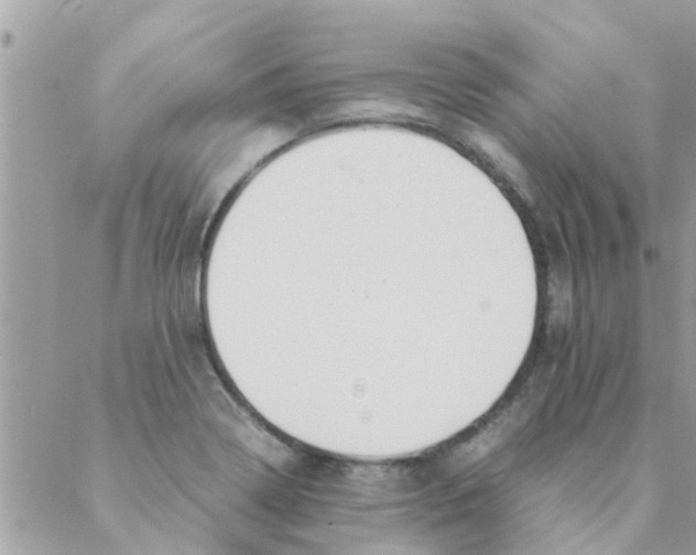 X0000088231322200706121846