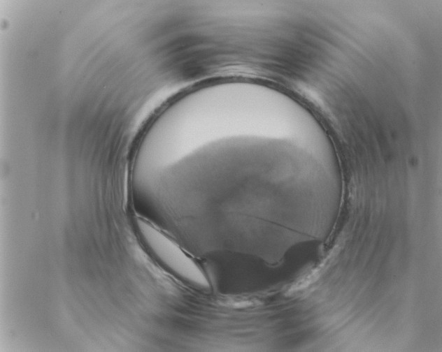 X0000088231323200706121846