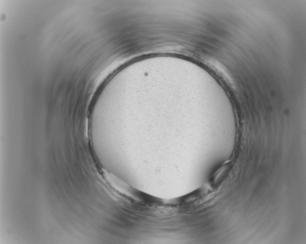 X0000088231324200706121846