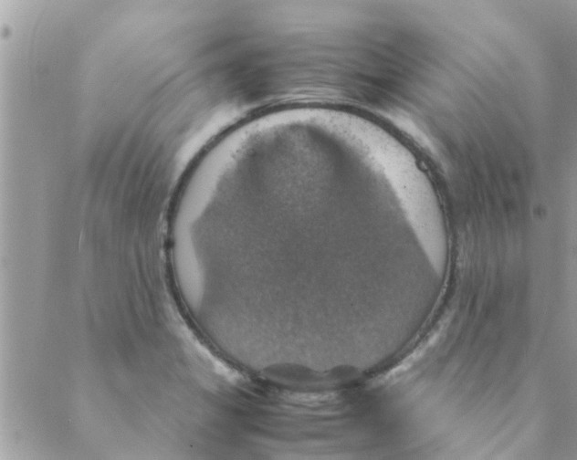 X0000088231325200706121846