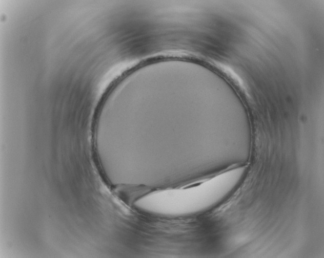 X0000088231327200706121846