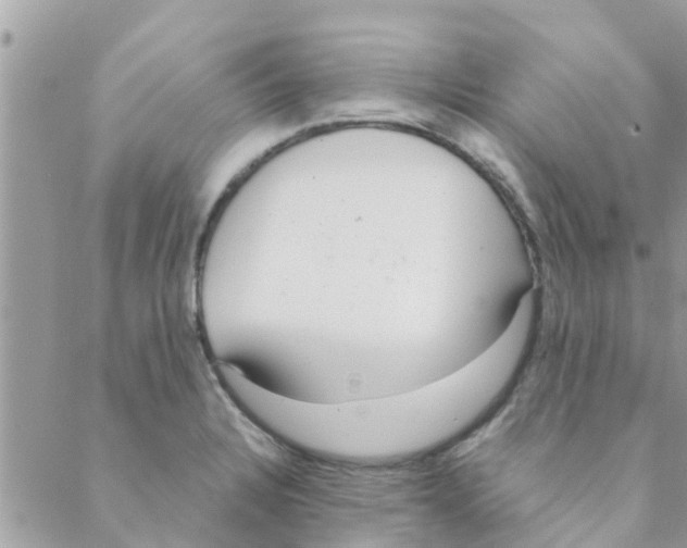 X0000088231328200706121846