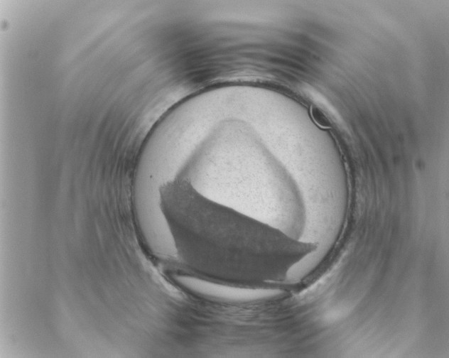 X0000088231329200706121846