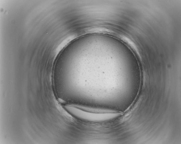 X0000088231330200706121846