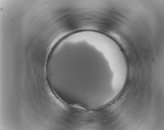 X0000088231331200706121846