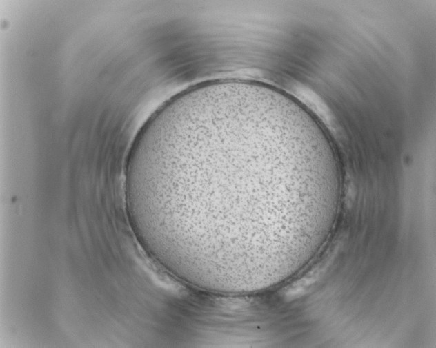 X0000088231332200706121846