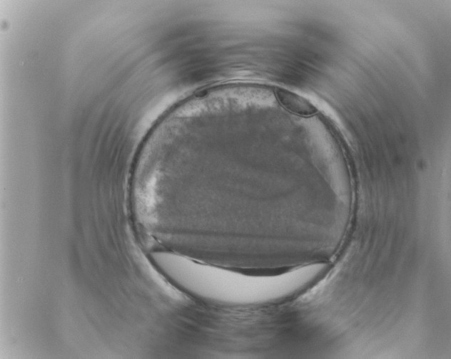 X0000088231333200706121846