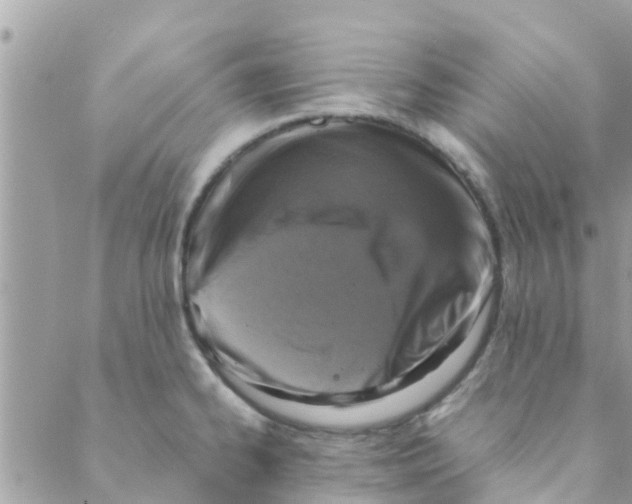 X0000088231334200706121846