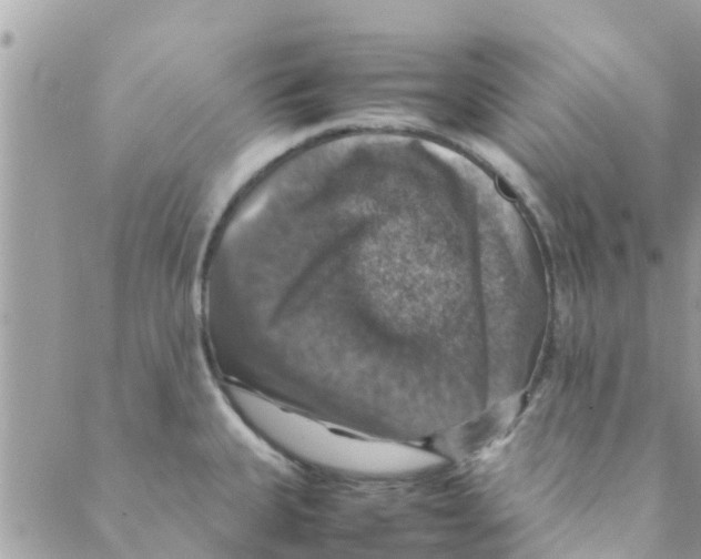 X0000088231335200706121846