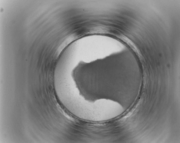 X0000088231337200706121846