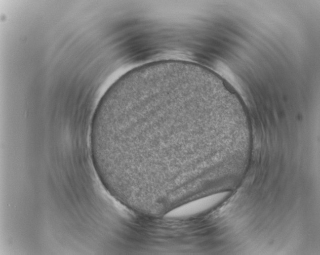 X0000088231339200706121846