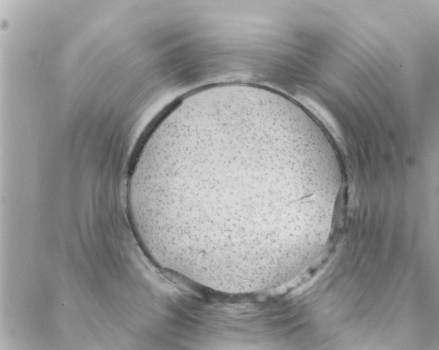 X0000088231340200706121846