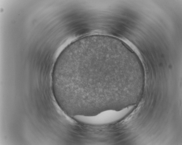 X0000088231341200706121846