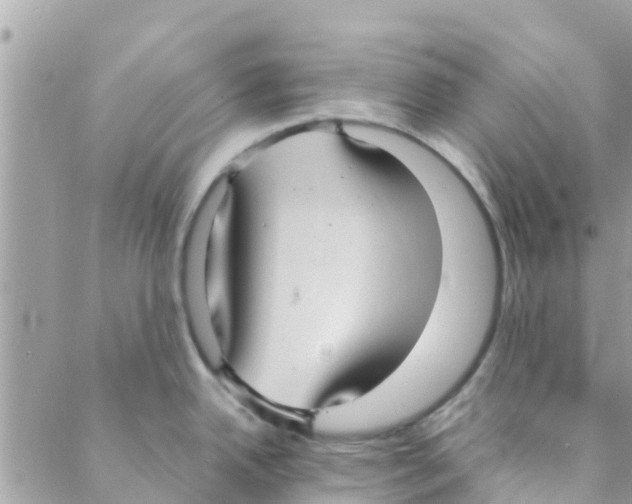 X0000088231342200706121846