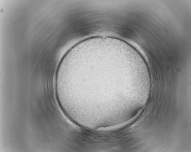 X0000088231343200706121846