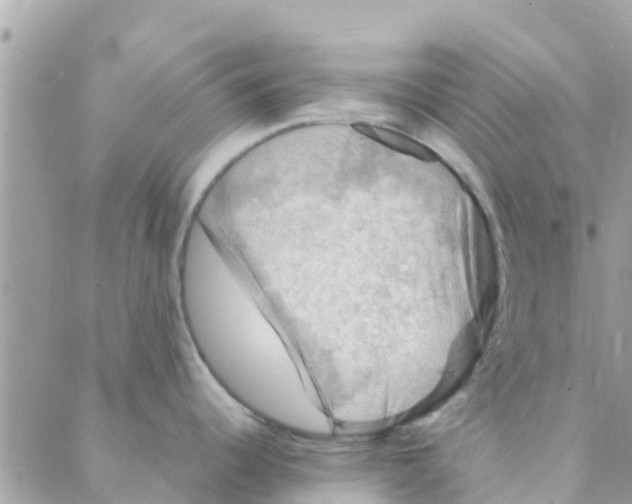 X0000088231344200706121846